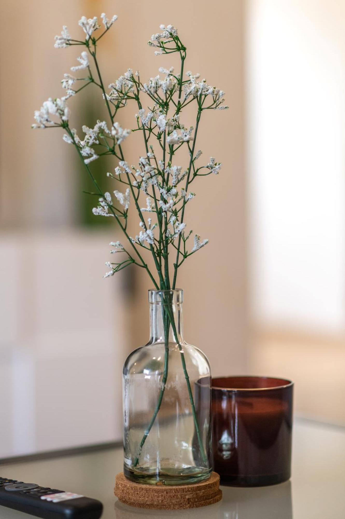 Zgodic Apartment Tulisevica